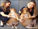 Sự thay đổi đáng nể của chú chó bị béo phì